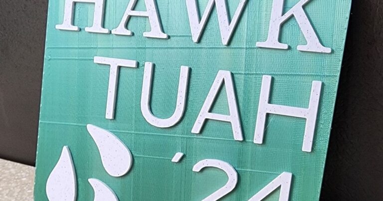 Hawk Tuah 24: A Game Changer in Its Field